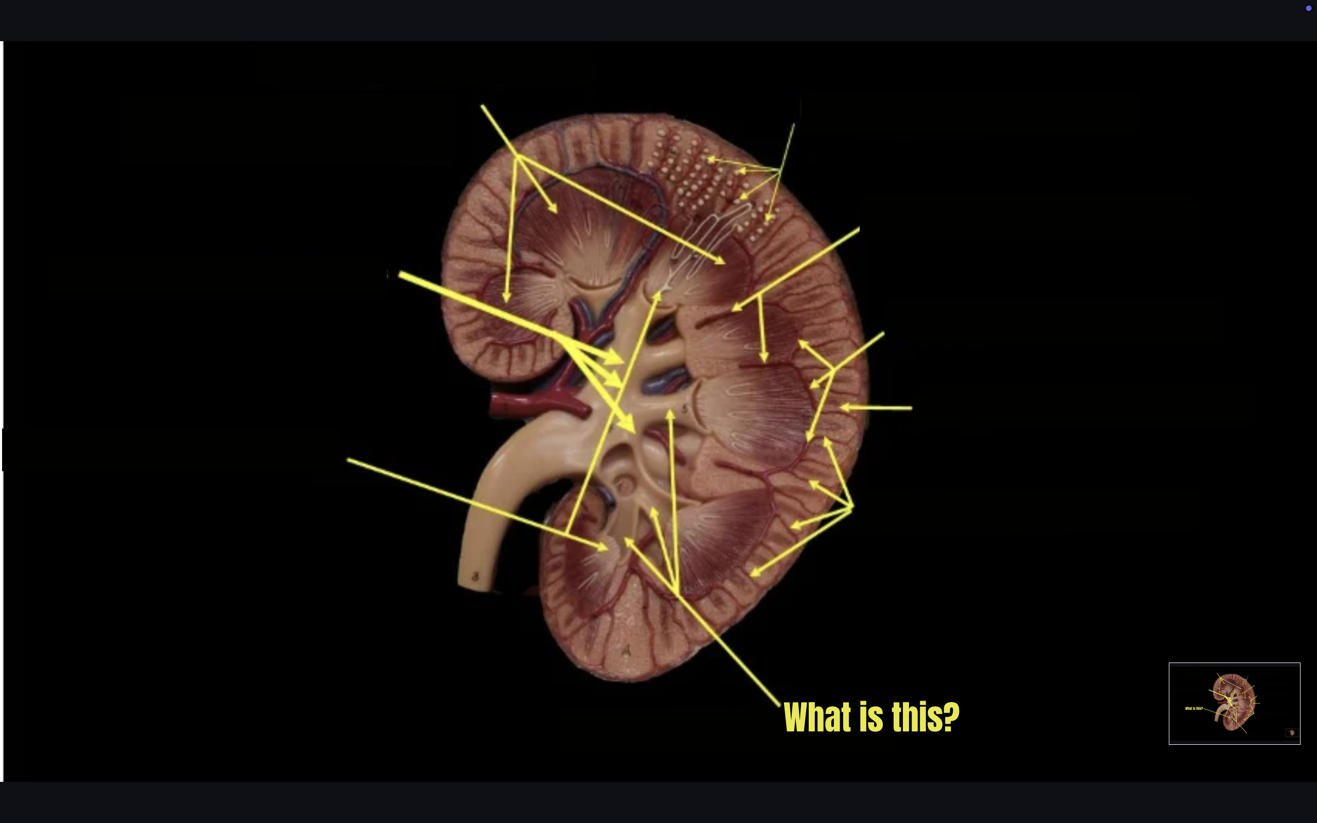 term image
