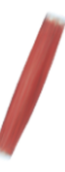 <p>longitudinal</p>