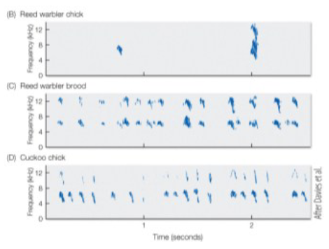 <p>what do these figures show?</p>