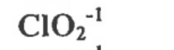 <p>One Chlorine, 2 Oxygen, Negative 1 charge</p>