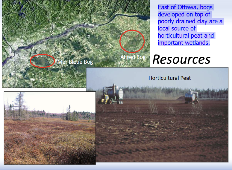 <p>East of Ottawa, bogs developed on top of poorly drained clay are a local source of horticultural peat and important wetlands.</p>
