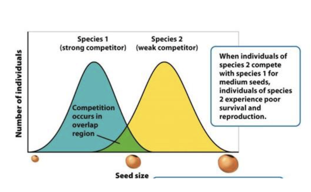 <p>No two species can share the exact same niche</p>