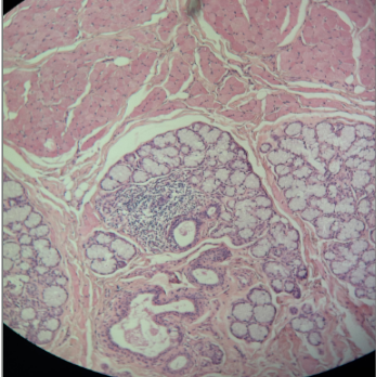 <p>What is this?</p>