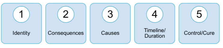 <ul><li><p>individuals hold beliefs abt how diseases work, these schemas influence how quickly they attach meaning and label an abnormal physical or mental change, these schemas develop early in life</p></li><li><p>5 core dimensions</p></li></ul><p></p>