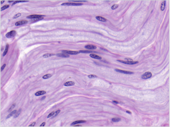 <p>What does this image show?</p>