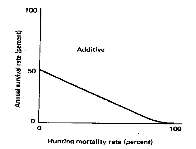 <ul><li><p>Mortality from <u>two sources</u></p><ul><li><p>When natural and harvest mortality are independent, OR,</p></li><li><p>Two types of natural mortality (predation + disease)</p></li></ul></li></ul><p></p>