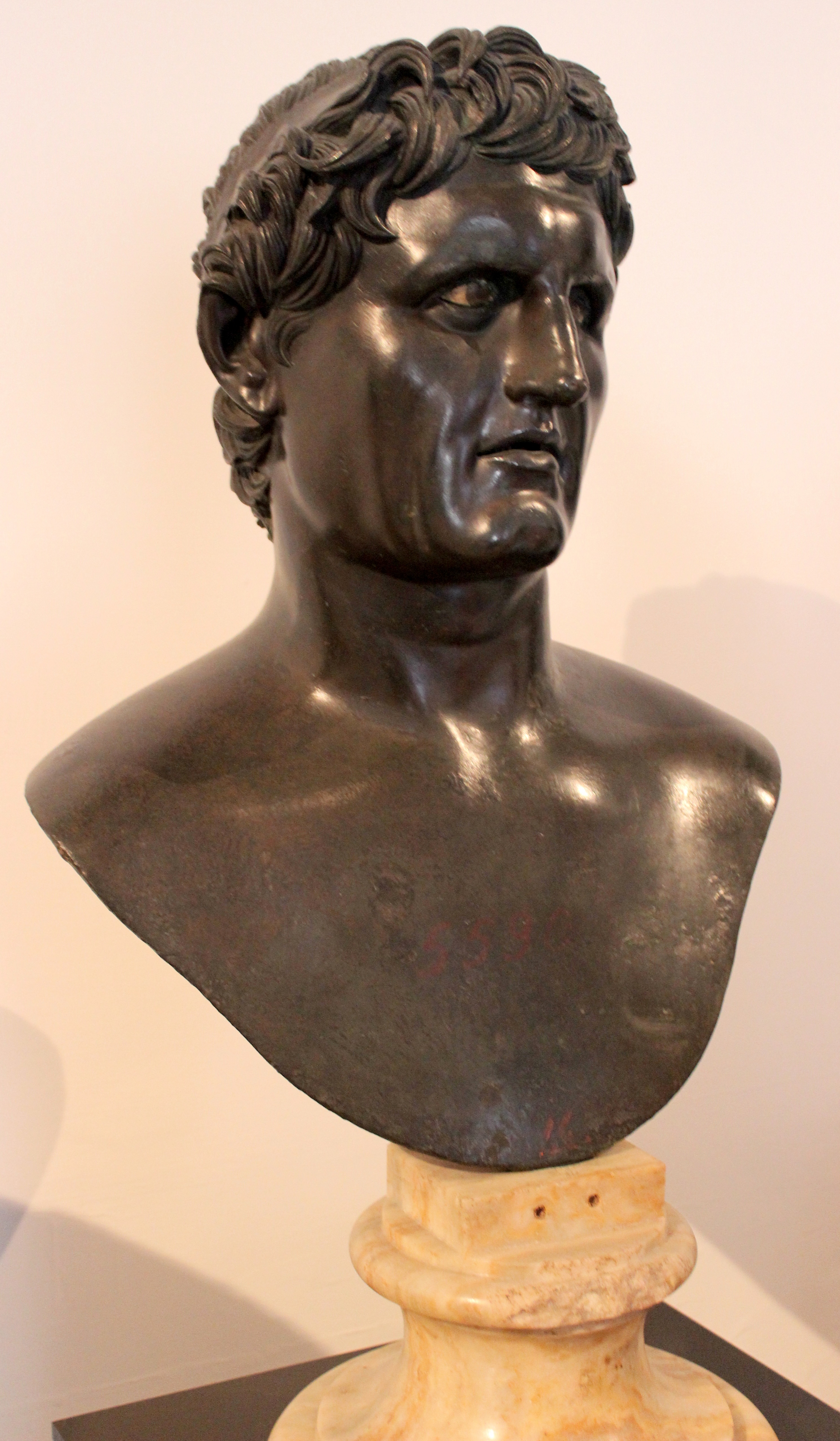 term image