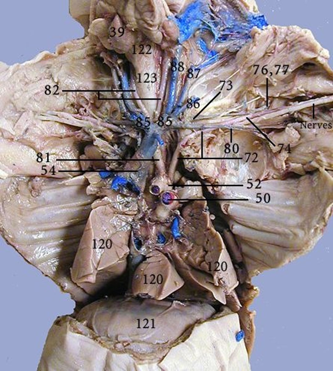 <p>72 = ?</p>
