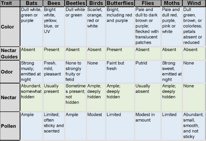 <p>______ syndromes are groups of traits that have evolved to attract pollinators (ex: </p>