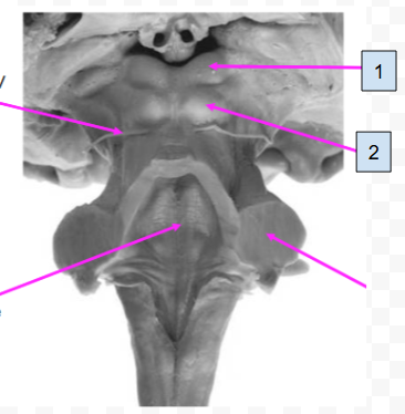 <p>2</p>