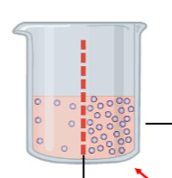 <p>If one side has more solute, it has [lower/greater] osmotic pressure</p>