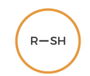 <p>what functional group is this? </p>