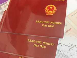 <p>bằng do trường đại học cấp</p>