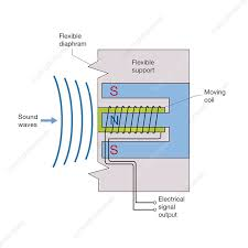<p>How does a microphone work?</p>