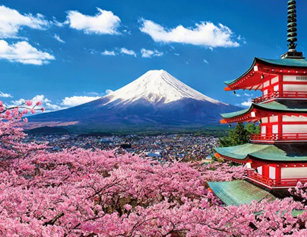 <p>Japan</p>