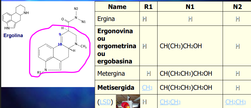 <p>Identifica o composto e diz:</p><ul><li><p>Qual a classe</p></li><li><p>O percursor/ via de síntese</p></li><li><p>Ação farmacológica e o mecanismo associado</p></li></ul><p></p>