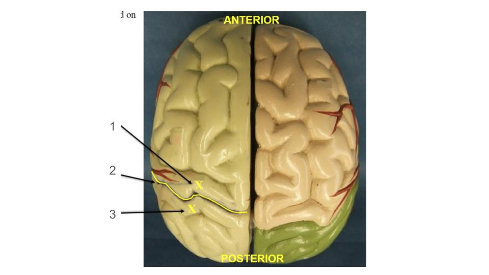 <p>1, structure, be specific</p>