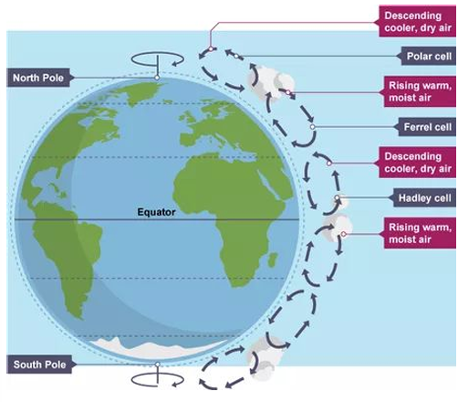 <p>main factor in determining <strong>cloud formation and rainfall</strong>, with different zones of rising and falling air that leads to precipitation through <strong>convectional rainfall </strong></p><p>this creates a <u>low pressure zone </u>on the eqautor called the ITCZ, which moves during the seasons as the suns position changes, where has <strong>Ferral and Hadley cells </strong>meet, unstable weather by the jet-stream causes <strong>changeable weather </strong>e.g. the UK</p>