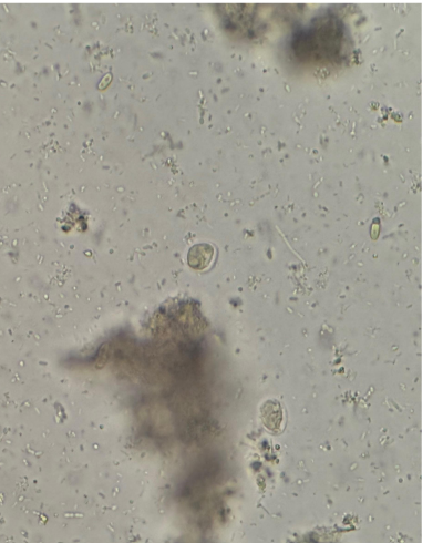 <p>identify</p>