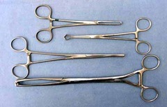 <p>bottom forcep</p>
