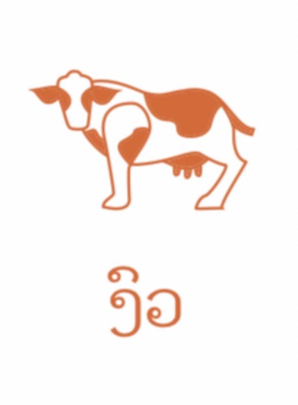 <p><span><span>/kaw/ ຄວາຍ kuaai "buffalo"</span></span></p>