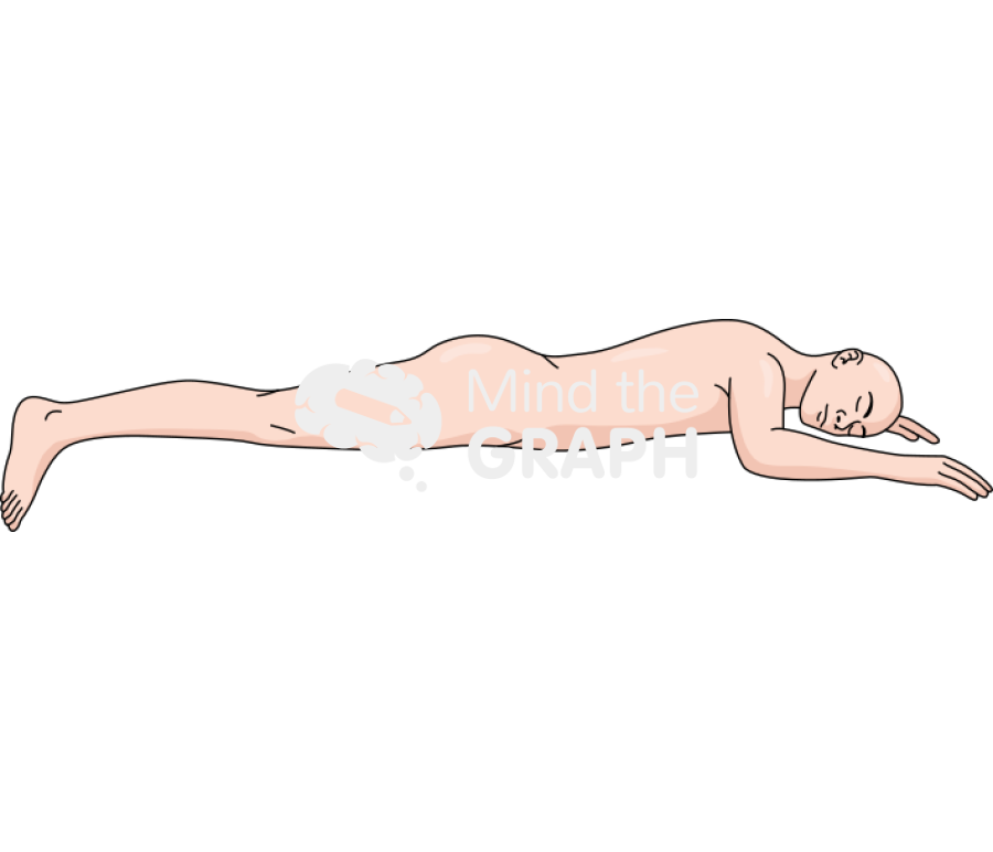 <p></p>