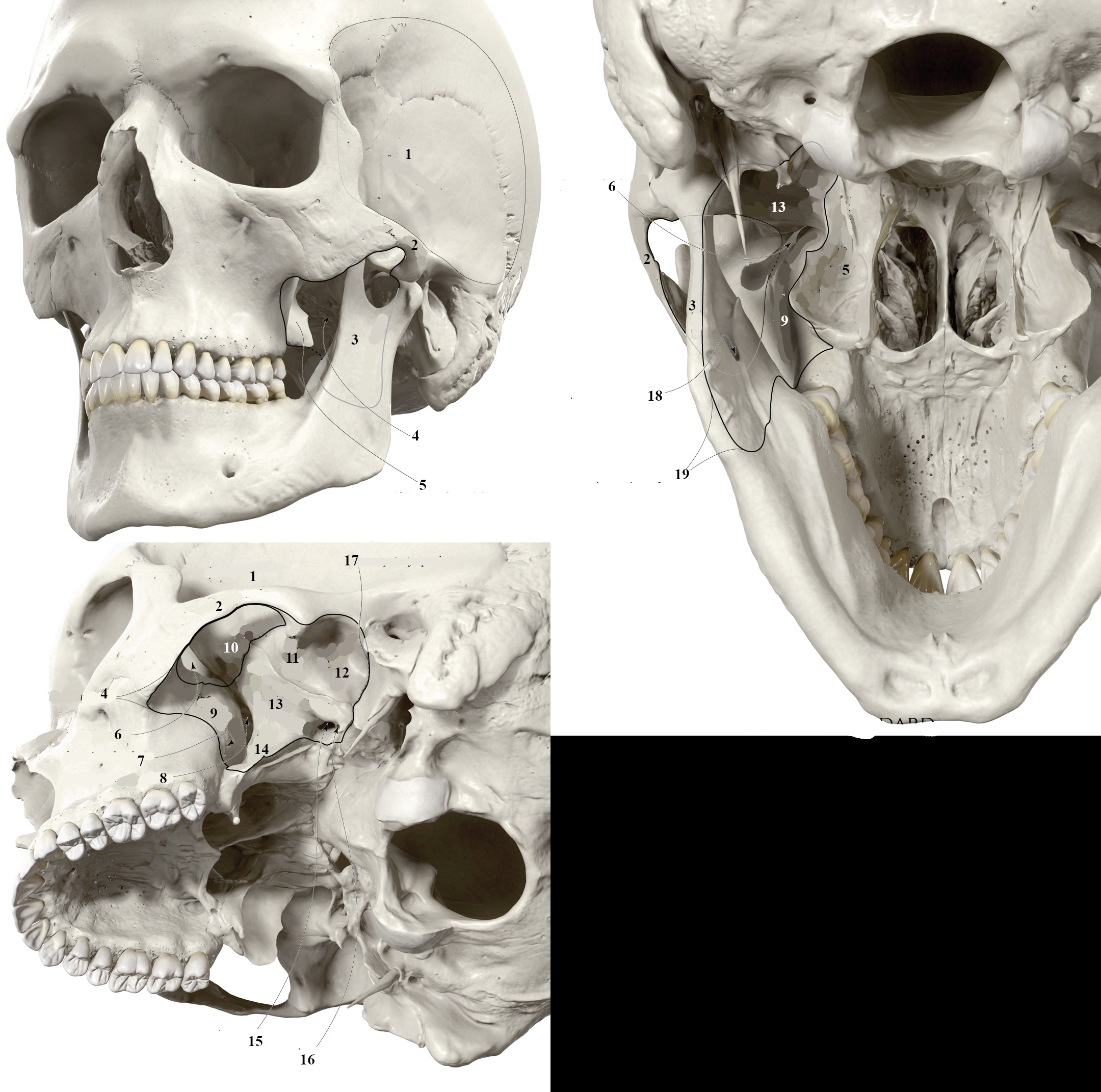 <p>6</p>