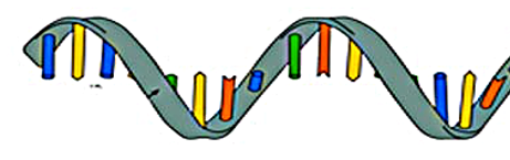 <p>What is this?</p>