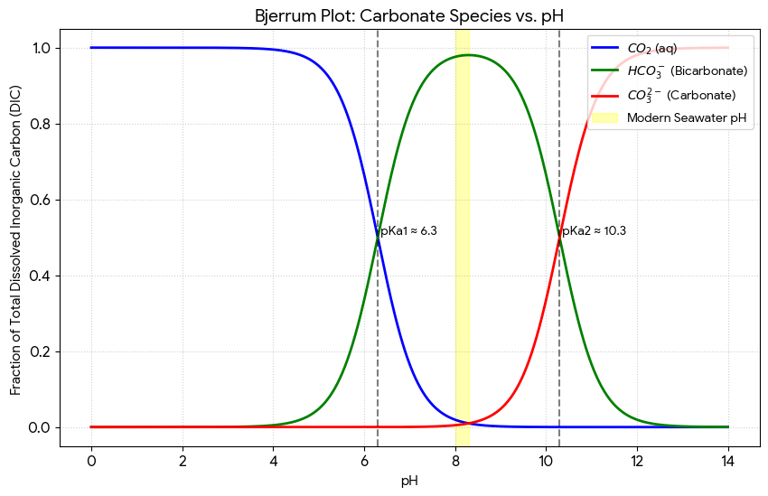 <p><span>This "loss" of carbonate ions makes it harder for marine organisms (corals, mollusks, coccolithophores) to build their shells and skeletons, even if the total amount of carbon in the water is actually increasing.</span></p>