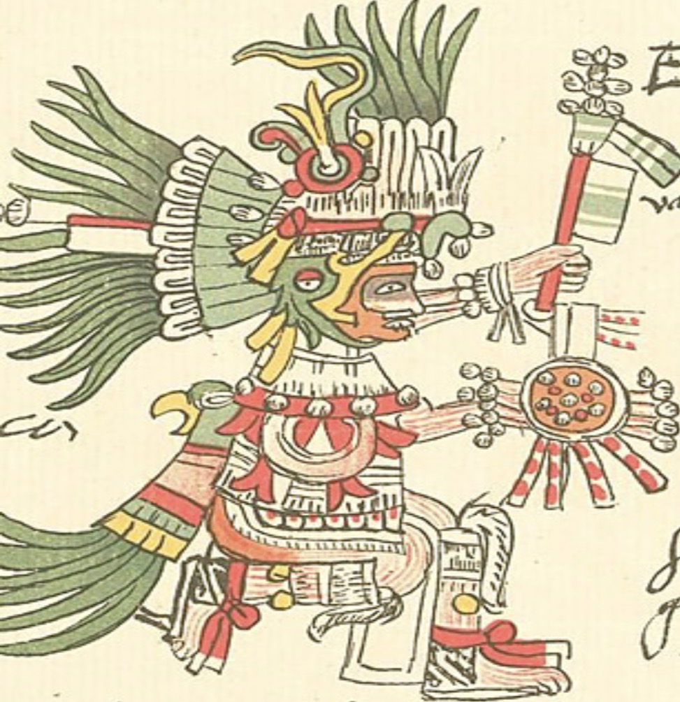 term image