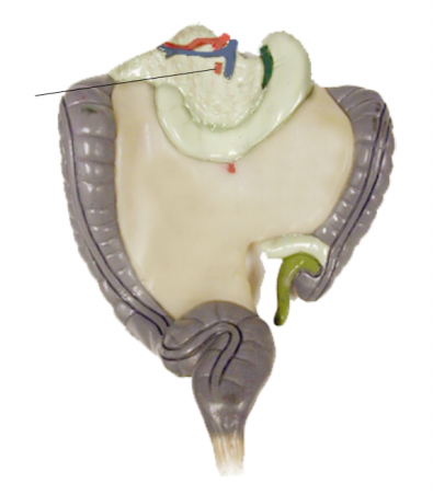 <p>Name the structure</p>