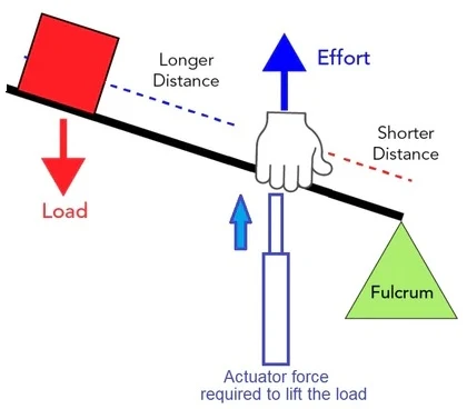 <p>A lever for which the muscle force and resistive force act on the same side<br>of the fulcrum, with the muscle force acting through a moment arm shorter </p><p>MA less than 1 so muscle force greater</p>