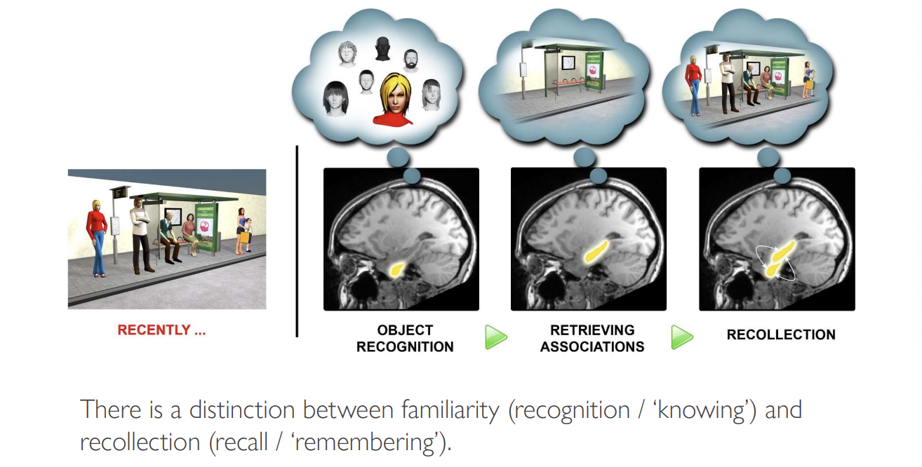 <p>Familiarity:</p><ul><li><p>recognition/ ‘knowing’ </p><ul><li><p>e.g you recognise a person but do not know where they are from</p></li></ul></li></ul><p>Recollection</p><ul><li><p>recall/ ‘remembering’</p><ul><li><p>e.g you recognise and recollect where they are from</p></li></ul></li></ul><p></p>
