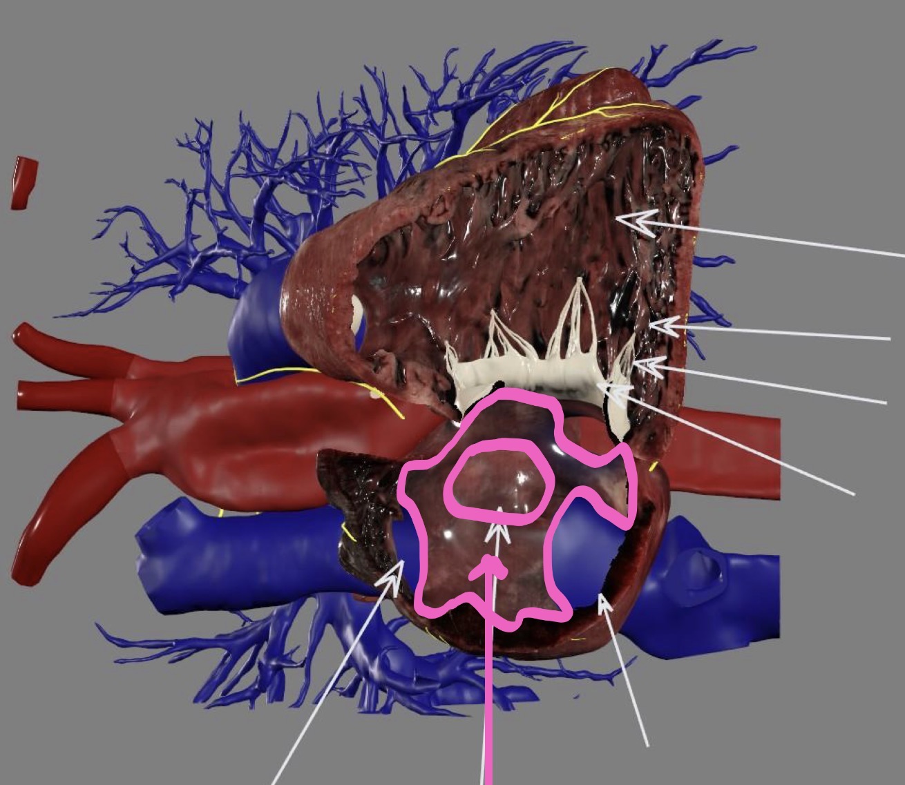 <p>What’s the highlighted area?</p>