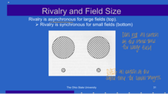 <p>Rivalry is _______ for small fields</p>
