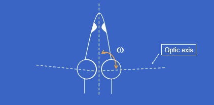 <ul><li><p>Ocular laterality is measured by ω (omega).</p></li><li><p>ω = angle between the optic axis (with the eye centered in the orbit) and the body's midline.</p></li><li><p>It quantifies how laterally positioned/oriented the eyes are relative to the head.</p></li></ul><p></p>