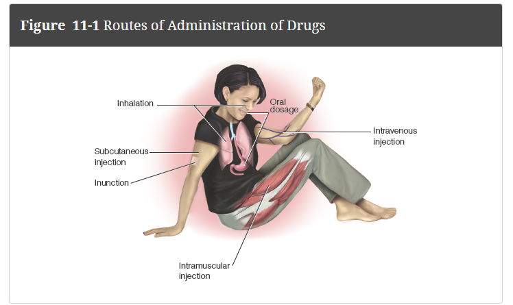 <ul><li><p><strong>Oral ingestion: </strong>The most common way of taking a drug. Swallowing a tablet, capsule, or liquid are examples. </p></li><li><p><strong>Inhalation:</strong> Drugs can enter the body through the lungs by inhaling smoke from cigarettes, vapes, or cannabis, or gases, aerosol sprays, and fumes from solvents and compounds that evaporate quickly.</p></li><li><p><strong>Injection: </strong>Often done with a syringe, can be done <em>intravenously</em> (directly into a vein), <em>intramuscularly</em> (into muscle tissue, which is richly supplied with blood vessels), or <em>subcutaneously</em> (beneath the skin).</p><ul><li><p><strong>Intravenous (IV) injection: </strong>A method of administration that gets a concentrated form of a drug into the bloodstream within seconds. Effects are felt within minutes.</p></li><li><p><strong>Intramuscular injection:</strong> A slower and consistent method of administering drugs, usually by way of hypodermic needle into the muscular tissue.</p></li><li><p><strong>Subcutaneous injection: </strong>A method of administering a drug by an injection into the fatty layer beneath the skin. The drug is absorbed more slowly because there is very little blood flow in the fatty tissue (10 mins to 24 hrs)</p></li></ul></li><li><p><strong>Inunction: </strong>Anointing or applying an ointment by rubbing or by applying adhesive patches containing a drug to the skin.</p></li></ul><p></p>