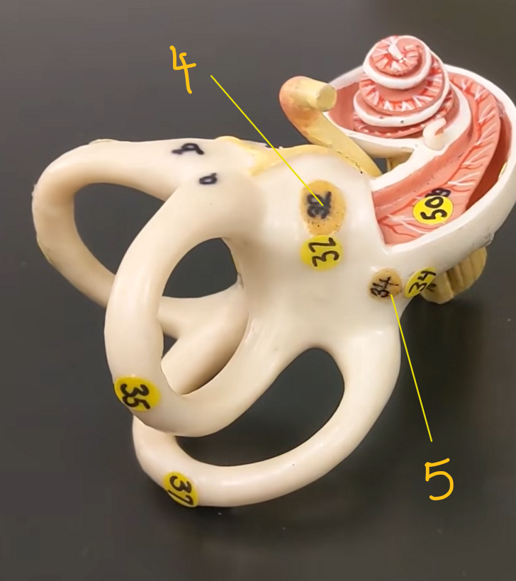 <p>4? </p>