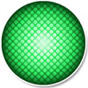 <p>If the traffic light is green and a police officer motions you to stop, you should:</p>