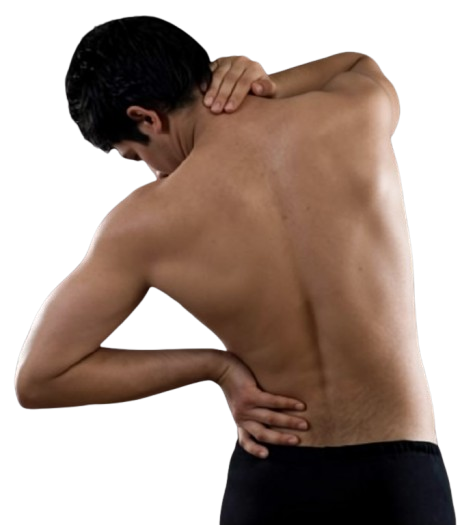 <p>Which way is this person's back leaning?</p>