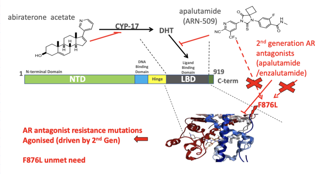 <p><span style="background-color: inherit; line-height: 22px; color: windowtext;">Mutation of AR ligand binding domain- </span><span style="line-height: 22px; color: windowtext;"> </span></p><p class="Paragraph SCXO152732372 BCX0" style="text-align: left;"><span style="background-color: inherit; line-height: 22px; color: windowtext;">Block formation of 2 helices forming and keep it blocked off- effective therapy </span><span style="line-height: 22px; color: windowtext;"> </span></p><ul><li><p class="Paragraph SCXO152732372 BCX0" style="text-align: left;"><span style="background-color: inherit; line-height: 22px; color: windowtext;">Mutations can arise in cells and under selective pressure of therapeutic.</span><span style="line-height: 22px; color: windowtext;"> </span></p></li><li><p class="Paragraph SCXO152732372 BCX0" style="text-align: left;"><span style="background-color: inherit; line-height: 22px; color: windowtext;">Therapeutic then may act as an agonist to the receptor- the opposite of original mechanism</span></p></li></ul><p></p>