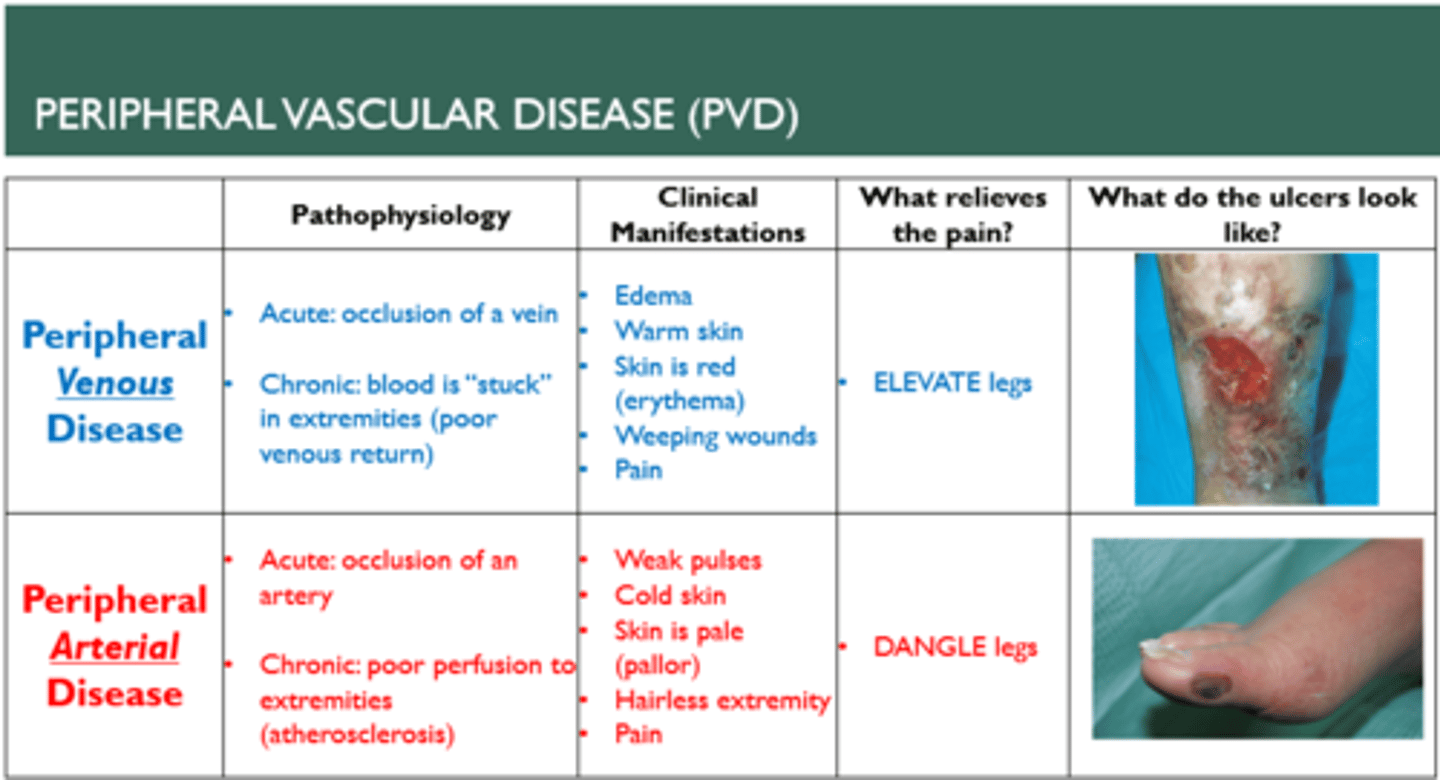<p>B) Wet is venous, Dry is arterial</p>