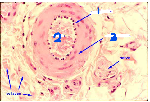 <p>1? </p>