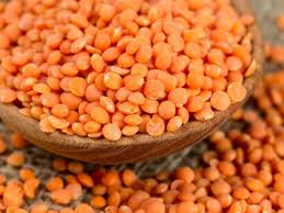 <p><span>lentil</span></p>