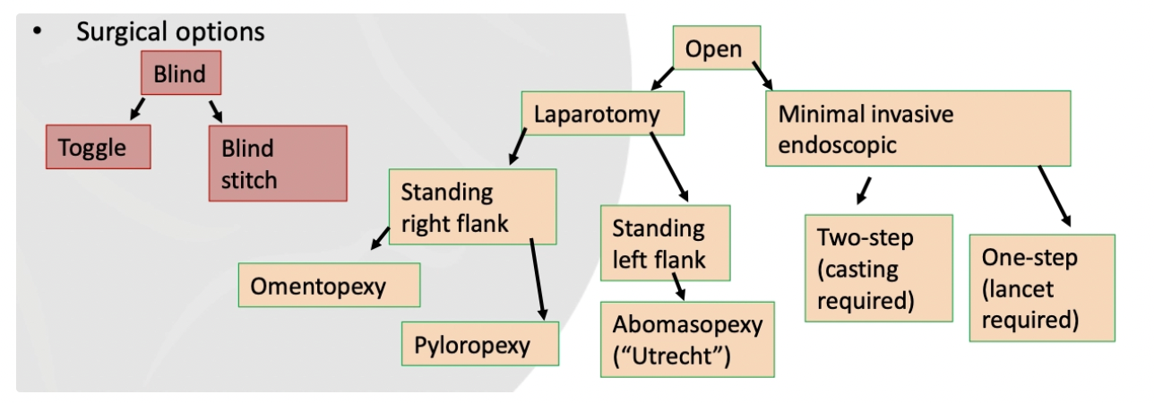 <ol><li><p><strong>Conservative</strong> (non-surgical): Rolling OR bumpy ride</p><ul><li><p>20% success rate</p></li></ul></li><li><p><strong>Open Surgery:</strong> Standing right flank omentopexy</p><ul><li><p>90% success rate</p></li></ul></li><li><p><strong>Blind Surgery:</strong> Cast and percutaneous toggling (Grymer/Sterner toggle suture)</p><ul><li><p>80 - 90% success rate</p></li></ul></li></ol><p></p>