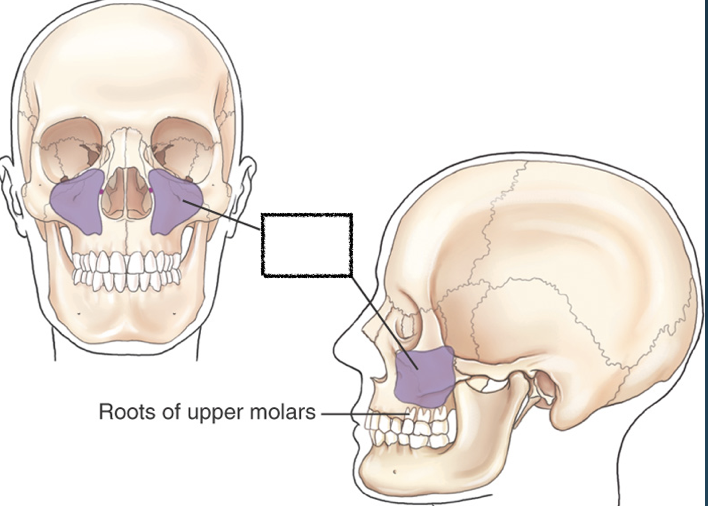 <p>What is this?</p>