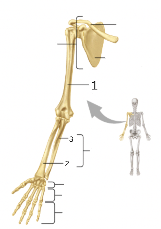 <p>3</p>