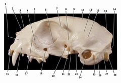 <p>4</p>