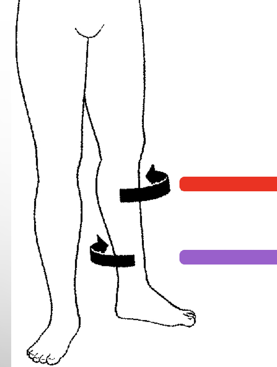 <p>What is the red?</p>