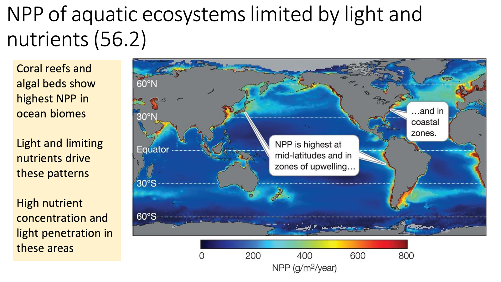 <ul><li><p><span>Coastlines upwelling, coral reefs, and algal beds show the highest NPP in ocean biomes</span></p><ul><li><p><span>Light and limiting nutrients drive these patterns</span></p></li><li><p><span>High nutrient concentration and light penetration in these areas</span></p></li></ul></li><li><p><span>Very deep water/open ocean low NPP, very low with nutrient and light permeability.</span></p></li></ul><p></p>